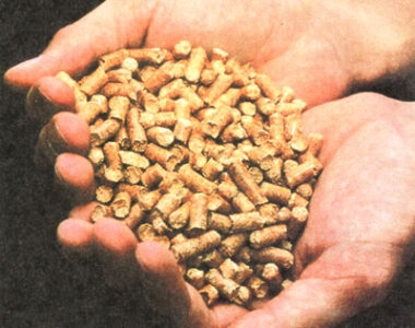 Wood Pellets: The Future of Fuel Image